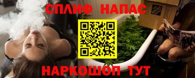 сатива Сланцы