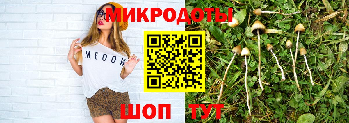 Псилоцибиновые грибы MAGIC MUSHROOMS Обнинск